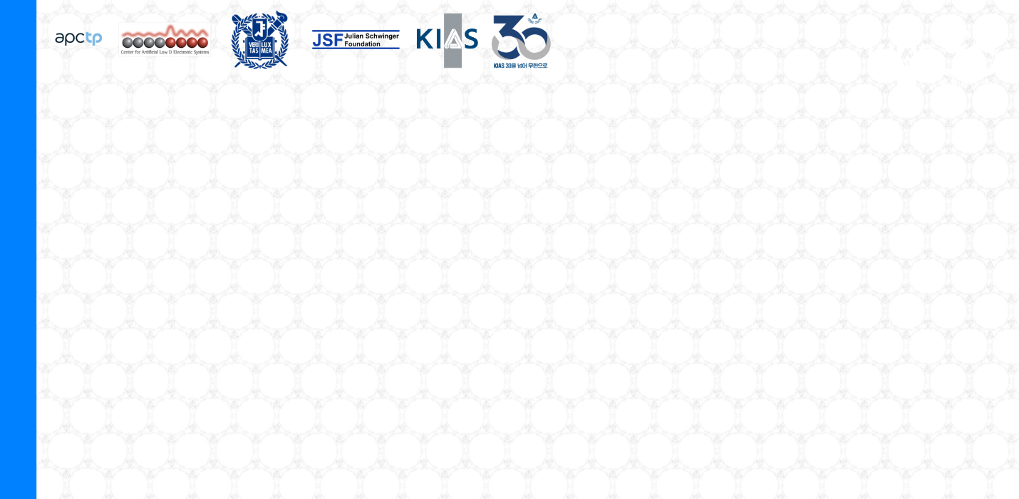 Young Research Leaders in<br/>Topological Materials and Beyond